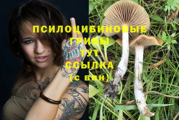 Альфа ПВП Березники